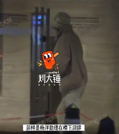 王楚然狗仔爆料视频播放,揭秘娱乐圈幕后真相